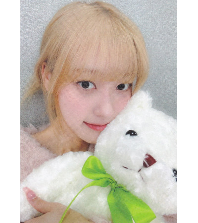 KARTA: ARTMS - DALL - TEDDY BEAR CHOERRY VER.