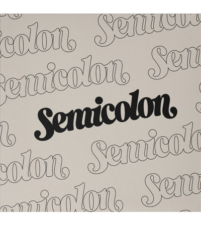 SEVENTEEN - SEMICOLON