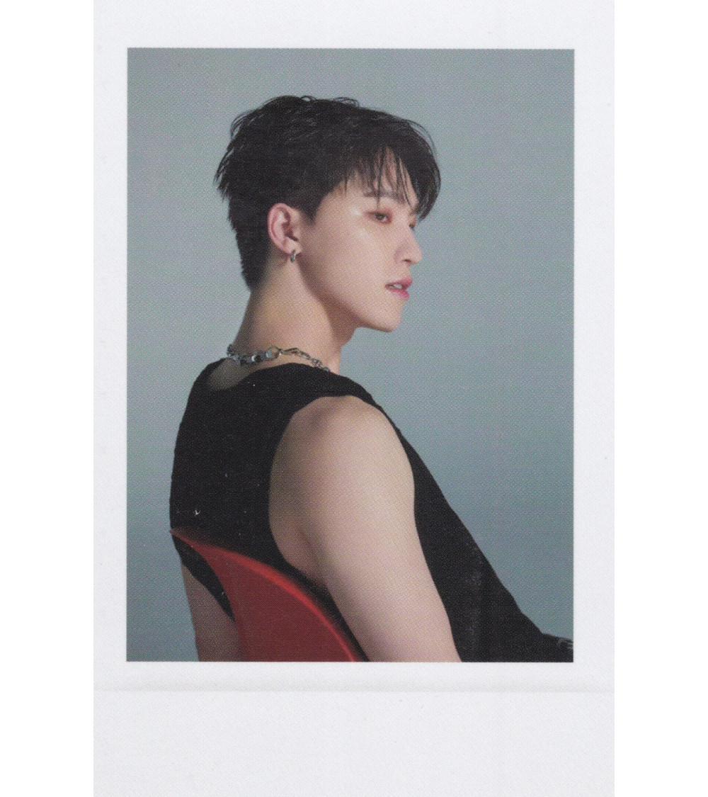 KARTA: SEVENTEEN - SPILL THE FEELS - DINO VER.