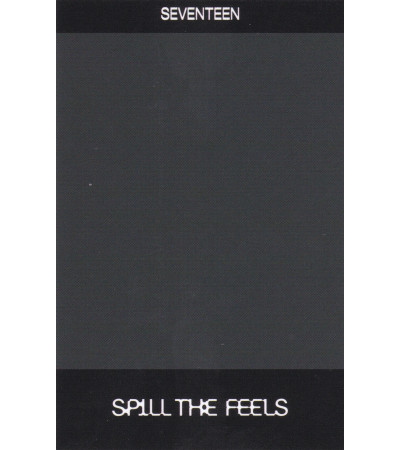 KARTA: SEVENTEEN - SPILL THE FEELS - VERNON VER.