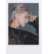 KARTA: SEVENTEEN - SPILL THE FEELS - HOSHI VER.