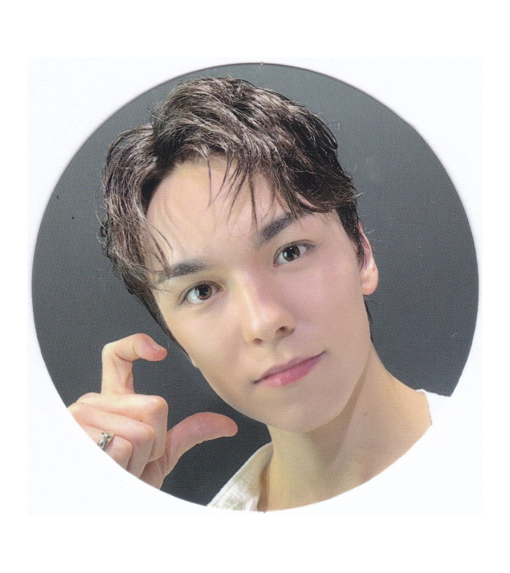 KARTA: SEVENTEEN - SPILL THE FEELS - VERNON VER.