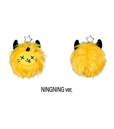 DOLL: AESPA - RICH MAN DOLL (POP-UP OFFICIAL) - VER. NINGNING