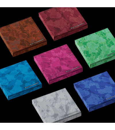 ENHYPEN - THE SIN VANISH - FUGITIVES VER. (+SPECIAL GIFT) / Preorder