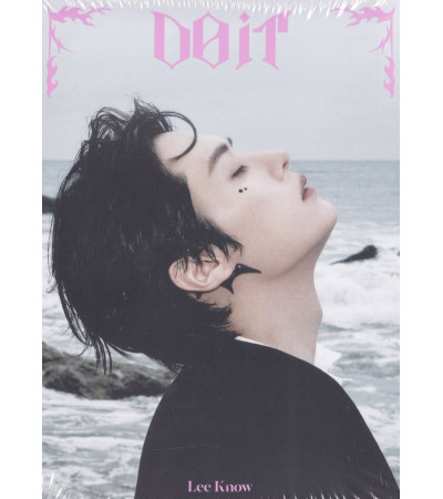 STRAY KIDS - SKZ IT TAPE DO IT - ACCORDION VER. LEE KNOW