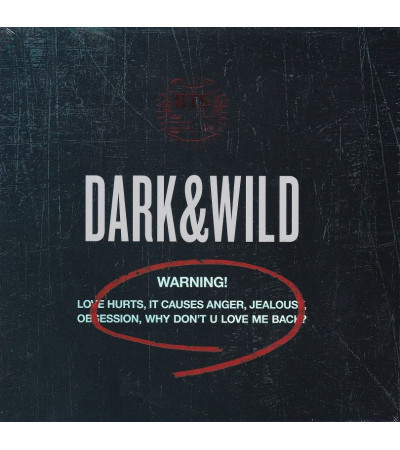 BTS - DARK & WILD