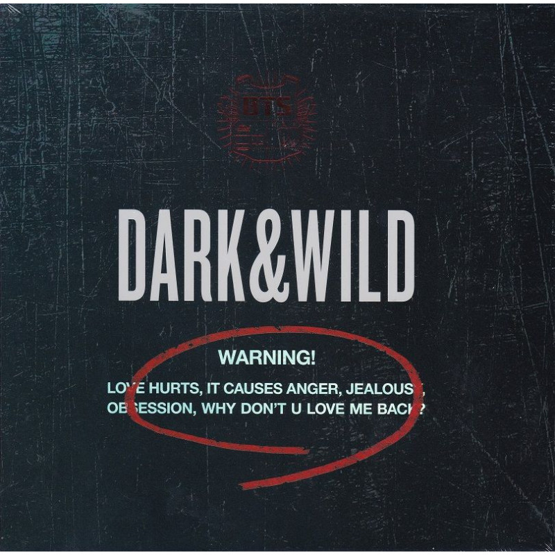 BTS - DARK & WILD