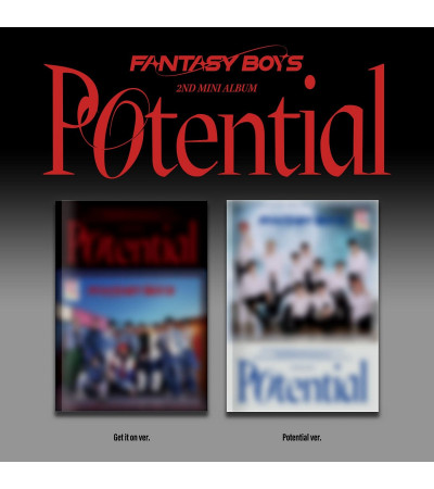 FANTASY BOYS - POTENTIAL / na zamówienie